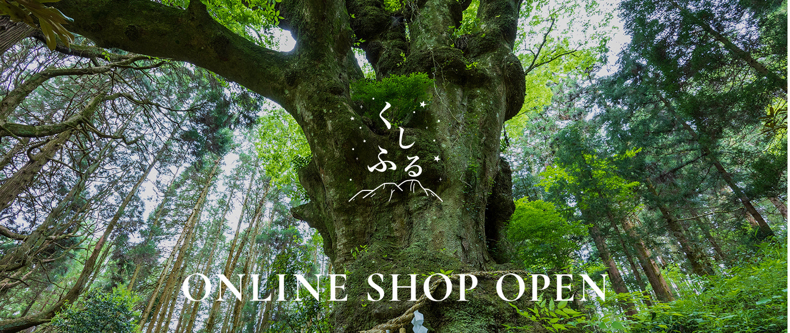 くしふるリトリートヴィラ